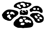 Icône 
