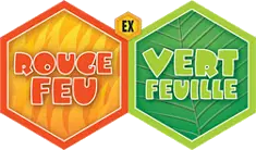 Logo extension Pokémon Rouge Feu et Vert Feuille
