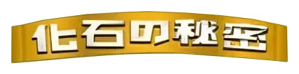 Logo extension Pokémon Mystery of the Fossils