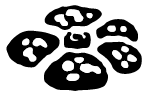 Icône 