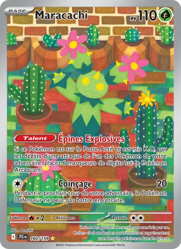 Maracachi