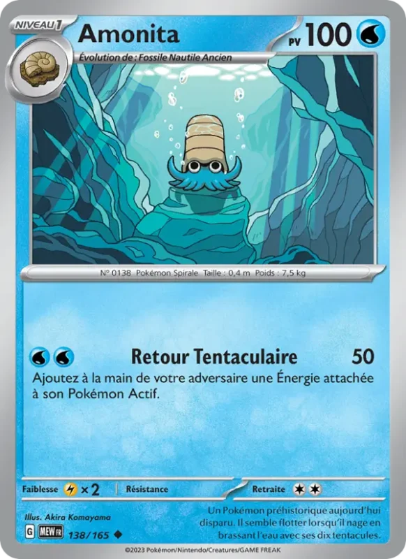 Amonita