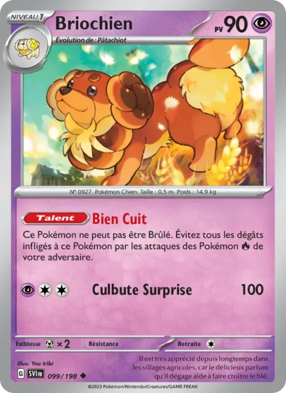 Briochien