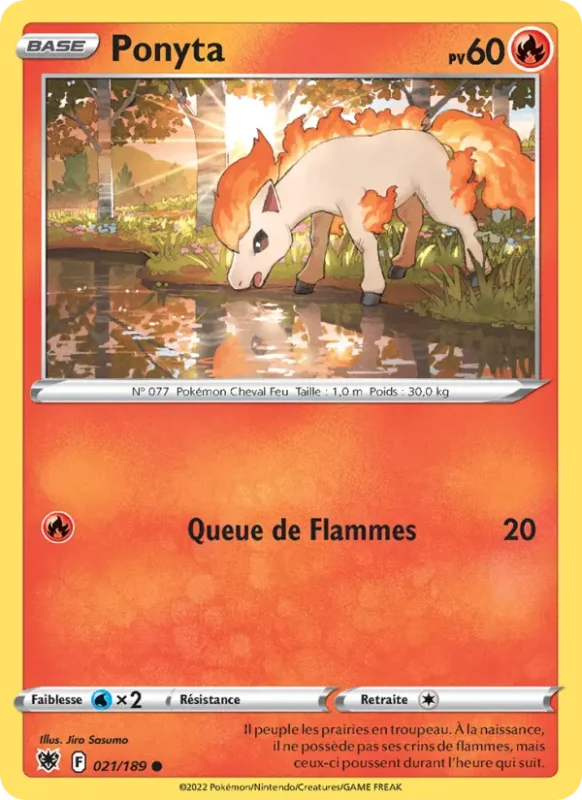 Ponyta