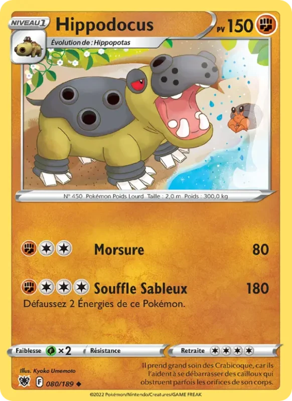 Hippodocus