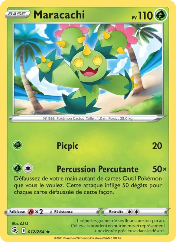 Maracachi