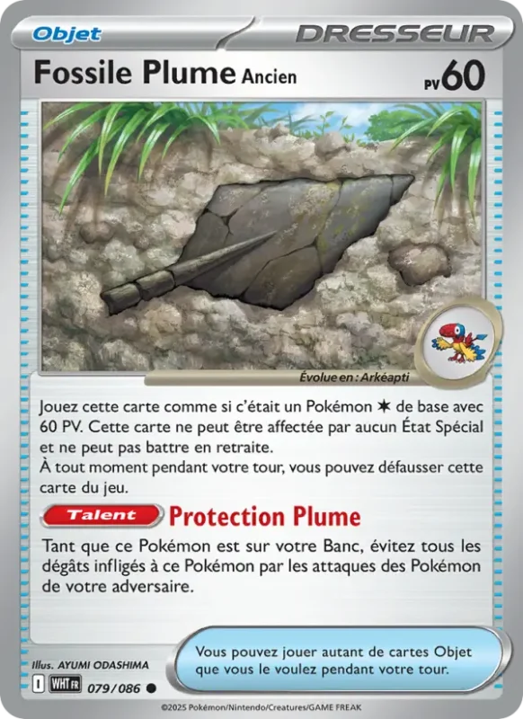 Fossile Plume Ancien