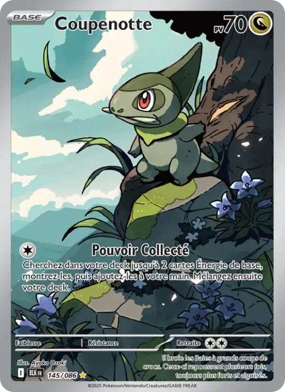 Coupenotte